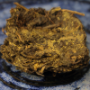 2015 Aged Jin Hua Fu Zhuan Cha